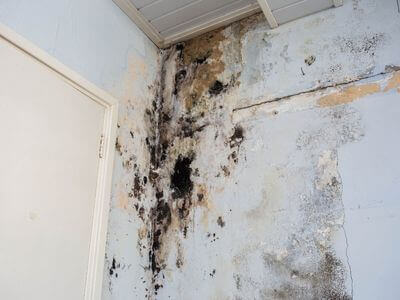 About water damage restoration service - storm damage restoration experts in Houstonse